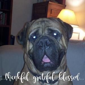 Meet your Posher, Cynthia